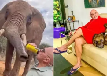 Foto: Reprodução/Redes sociais