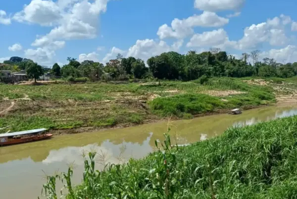 Seca severa: Rio Iaco marca apenas 72 centímetros em Sena Madureira