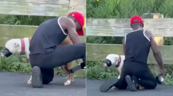 Homem é preso após ser flagrado amarrando focinho de cachorro com fita isolante