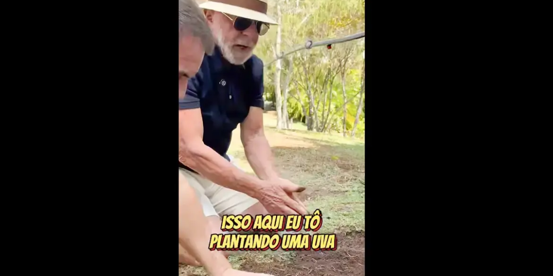 Foto: FRAME LULAOFICIAL/INTAGRAM