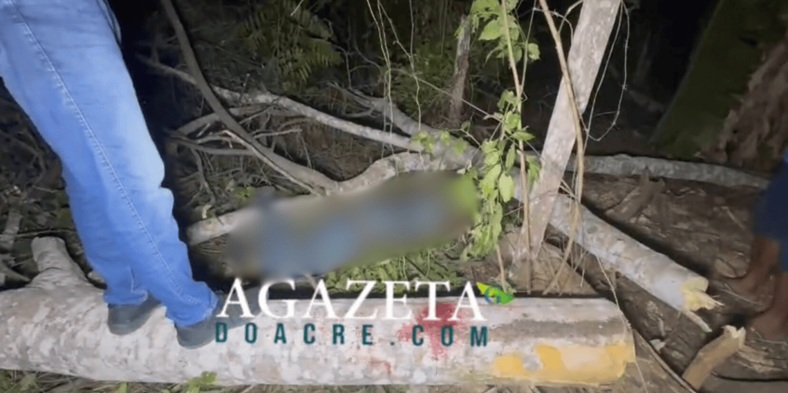 Trabalhador morre ao cair de árvore enquanto operava motosserra na zona rural de Rio Branco