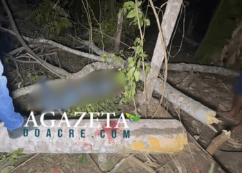 Trabalhador morre ao cair de árvore enquanto operava motosserra na zona rural de Rio Branco