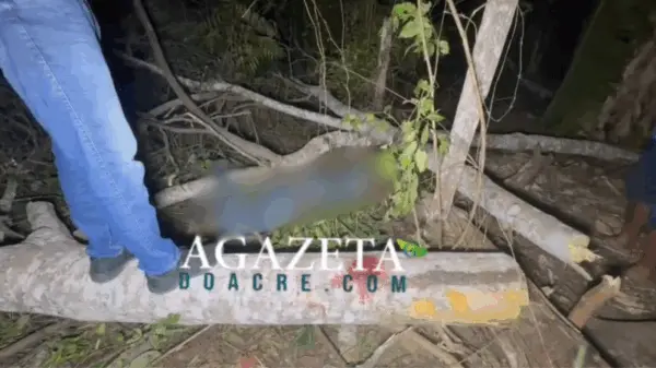 Trabalhador morre ao cair de árvore enquanto operava motosserra na zona rural de Rio Branco
