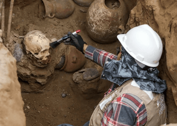Um arqueólogo limpa um crânio atribuído à cultura pré-inca Chancay, descoberto acidentalmente por trabalhadores que instalavam um gasoduto no distrito de Puente Piedra, em Lima, em 31 de julho de 2025 - (crédito: CONNIE FRANCE/AFP)