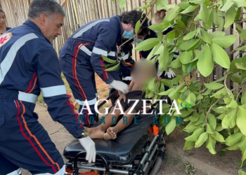 Menino de 11 anos cai de árvore em Rio Branco e é socorrido pelo Samu