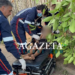 Menino de 11 anos cai de árvore em Rio Branco e é socorrido pelo Samu