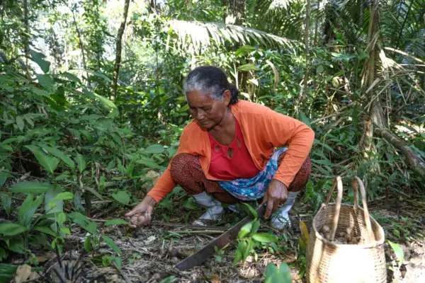 Fapac lança edital de R$ 490 mil para apoiar mulheres extrativistas e agricultoras em Tarauacá