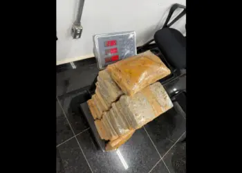 Atuação conjunta de polícias apreende 23 kg de maconha enterrados em ramal no Acre