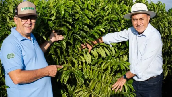 Café transforma vidas no Juruá e pode movimentar bilhões, afirma Bocalom