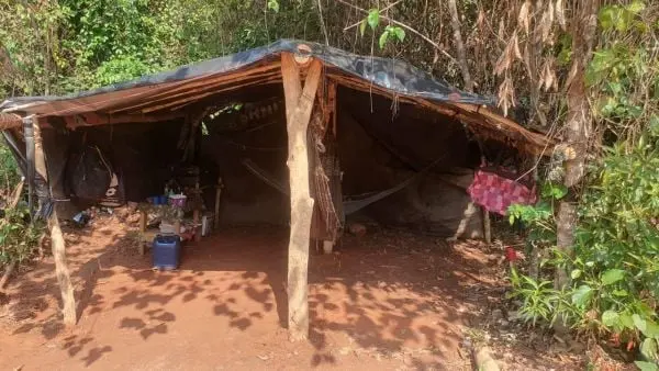 Ex-miss Mato Grosso é acusada de manter 20 homens em condição de trabalho análogo à escravidão