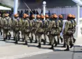 Dia da Independência: veja imagens da celebração do povo e dos bastidores da festa