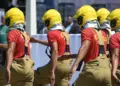 Dia da Independência: veja imagens da celebração do povo e dos bastidores da festa