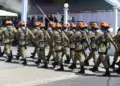 Dia da Independência: veja imagens da celebração do povo e dos bastidores da festa
