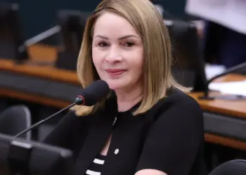 O texto, de autoria da deputada Socorro Neri (PP) e outras dez parlamentares, prevê agravantes e penas mais duras aos estelionatários sentimentais (Foto: Assessoria)