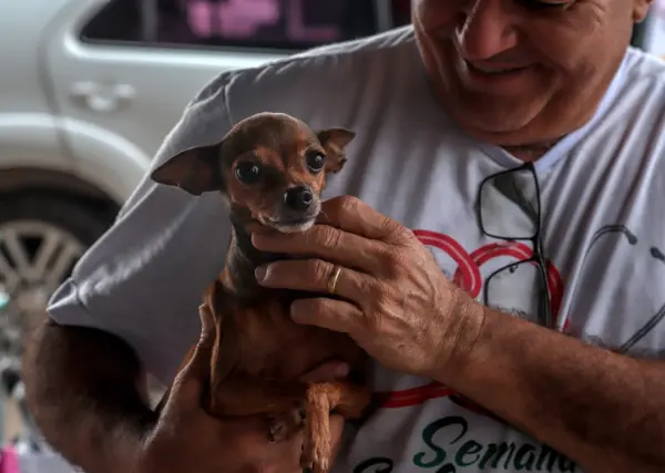 Rio Branco promove feira de adoção e vacinação gratuita de pets neste domingo