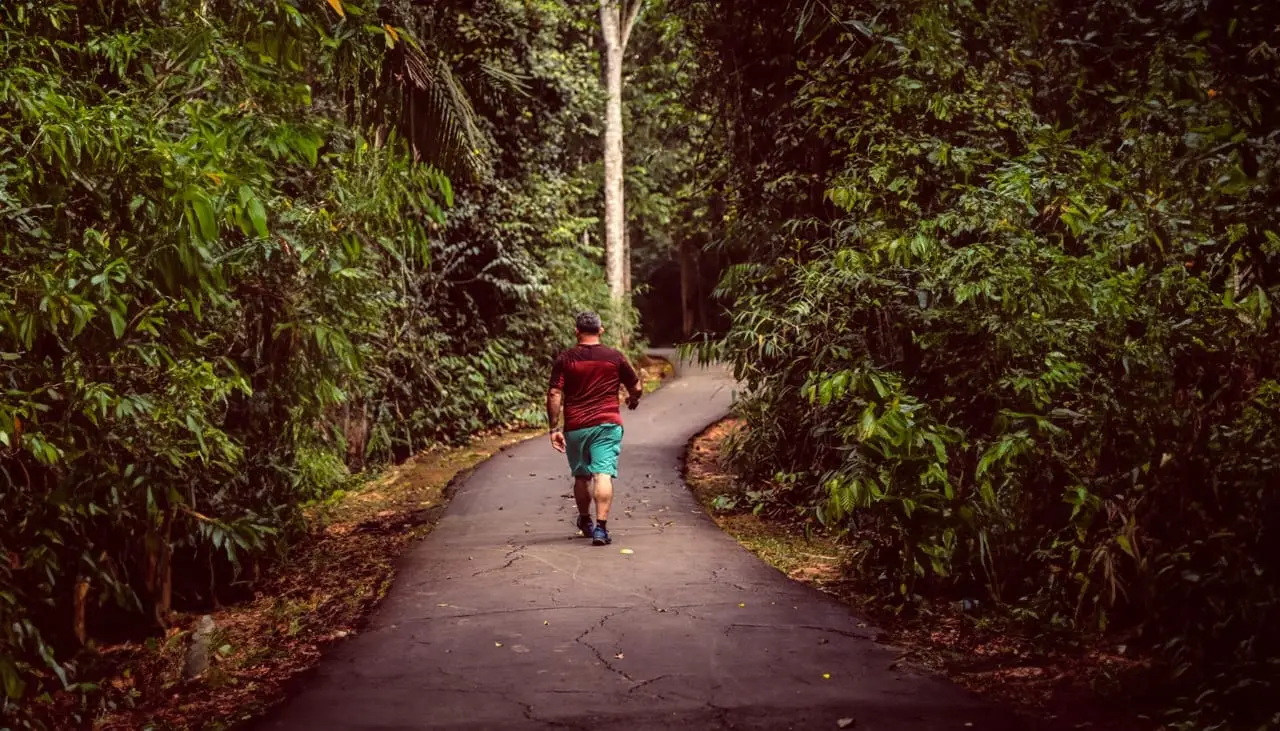 Parque Ambiental Chico Mendes: Preservação da Amazônia ao alcance de todos 7 Parque Ambiental Chico Mendes: Preservação da Amazônia ao alcance de todos