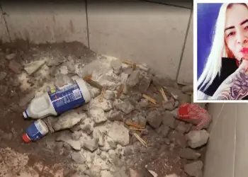 Aline Lira (destaque) foi encontrada enterrada e morta debaixo de cama de cliente na casa dele no ABC — Foto: Reprodução/TV Globo e arquivo pessoal