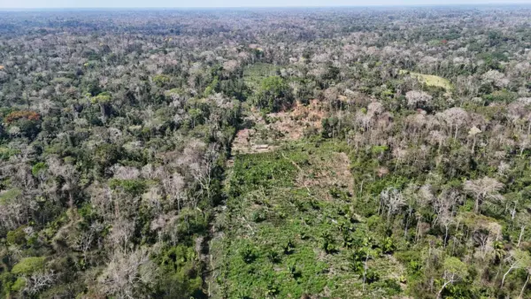 TCE do Acre inicia projeto com inteligência artificial para prever desmatamento