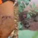 homem arranhado por onça ao tentar impedir que animal entrasse em creche — Foto: Fábio Diniz/Rede Amazônica