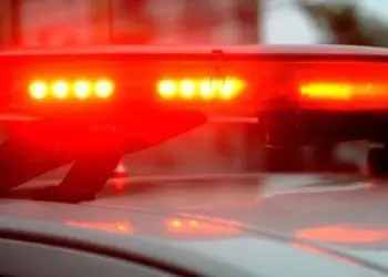 Caso aconteceu em Araucária, na Região Metropolitana de Curitiba | Pexels