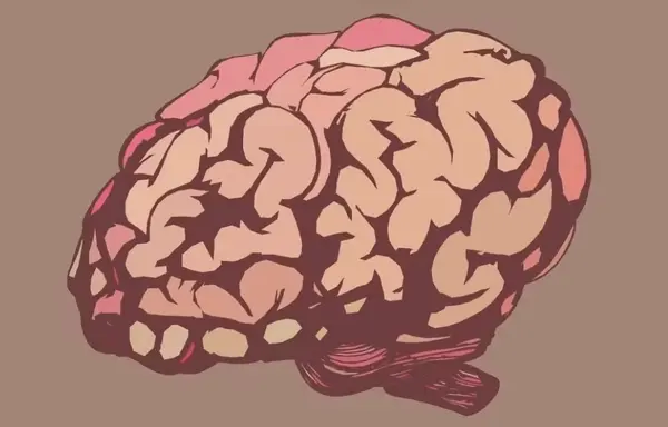 Por que os germes da sua mãe podem ter influenciado o desenvolvimento do seu cérebro