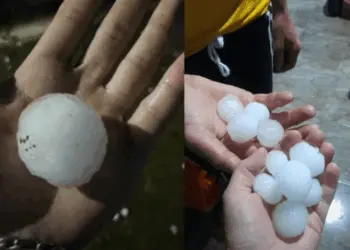 Foto: Granizo Paraná - Reprodução