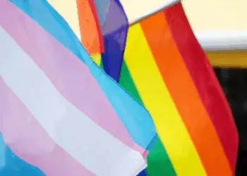 Bandeiras do orgulho transgênero e LGBTQIA+. Foto: Canva.