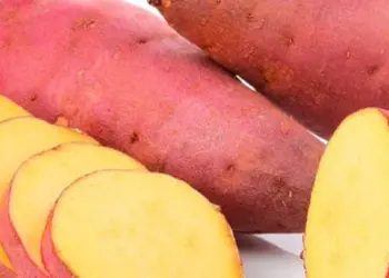 Cinco alimentos para se consumir antes do treino noturno 2 Foto: Divulgação/Clube Extra