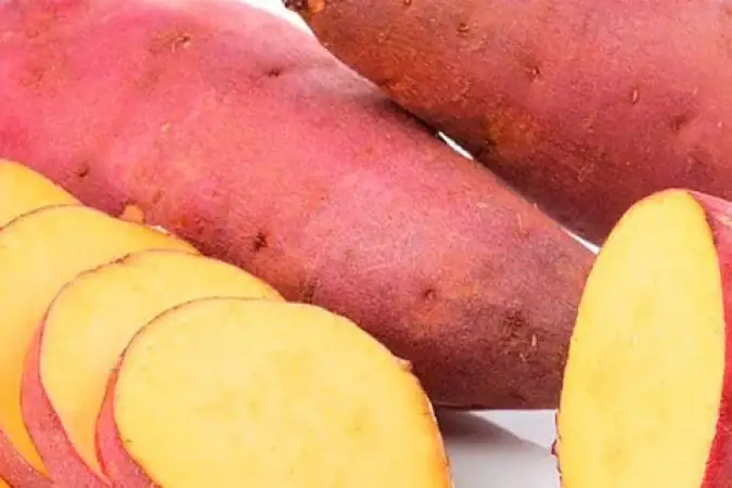 Cinco alimentos para se consumir antes do treino noturno 1 Foto: Divulgação/Clube Extra