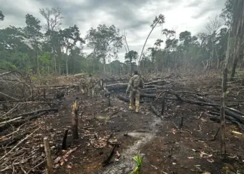 Foto: Arquivo/PF