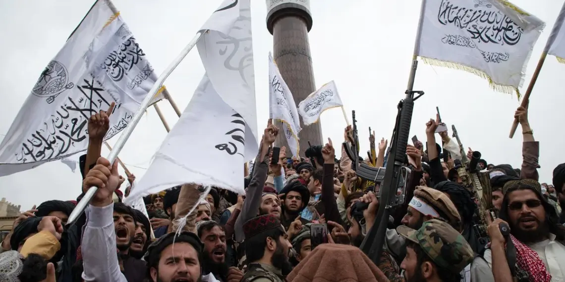 Nava Jamshidi/Getty Images