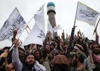 Nava Jamshidi/Getty Images