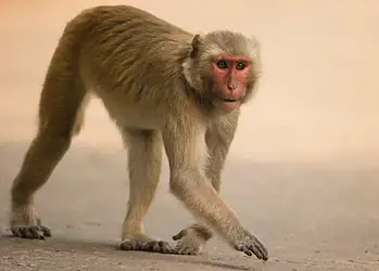 McDonald Wildlife Photography Inc/ Getty Images