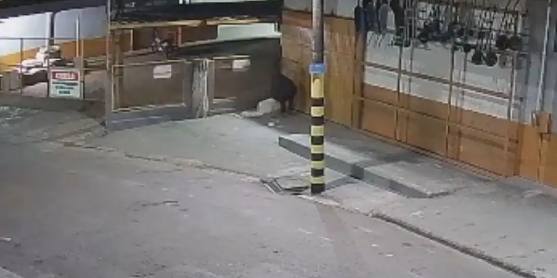 Vídeo mostra ataque a homem morto após golpes de barra de ferro em Rio Branco