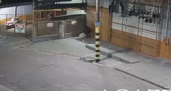 Vídeo mostra ataque a homem morto após golpes de barra de ferro em Rio Branco