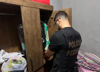 Ação faz parte da Operação Moeda Postal, que investiga envio de cédulas falsificadas por encomendas postais - Foto: Arquivo/PF
