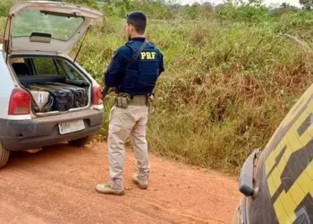 Por: Reprodução