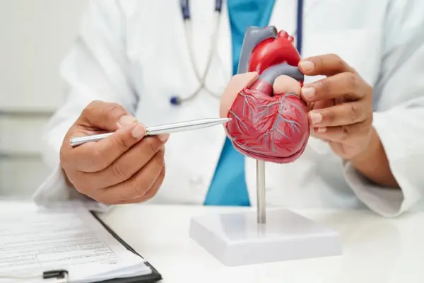 Estudo: 99% dos infartos e AVCs estão ligados a 4 fatores. Saiba quais