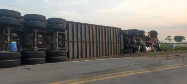 Carreta com 140 bezerros tomba em curva da BR-317 entre Epitaciolândia e Xapuri
