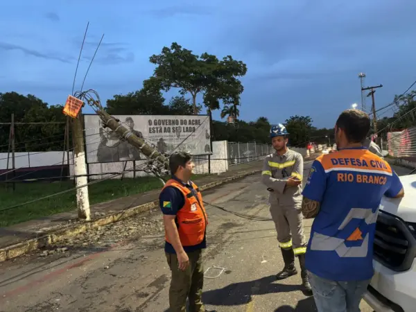 Temporal com ventos de até 70 km/h causa quedas de árvores e poste em Rio Branco; Defesa Civil registra 9 ocorrências