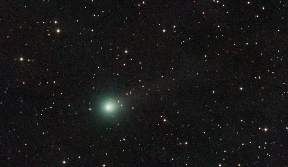 Cometa C/2025 A6 (Lemmon) registrado em 17 de setembro de 2025. O brilho esverdeado indica a presença de gases como o cianogênio e o carbono diatômico, típicos de cometas ativos. — Foto: Wikimedia/Domínio Público
