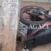 Motorista embriagado provoca acidente e atropela mototaxista com passageira em Rio Branco 9 Motorista embriagado provoca acidente e atropela mototaxista com passageira em Rio Branco