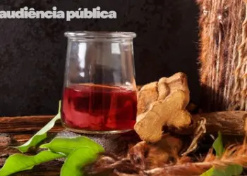 MPF convoca audiência pública sobre uso ritual da ayahuasca e proteção de comunidades tradicionais 2 Foto: Canva