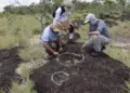 Pegadas de dinossauros encontradas em Roraima são estudadas há mais de 10 anos. — Foto: JPavani/Reprodrução
