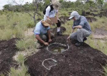 Pegadas de dinossauros encontradas em Roraima são estudadas há mais de 10 anos. — Foto: JPavani/Reprodrução