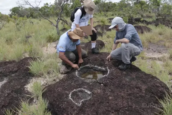 Pesquisa inédita descobre pegadas de dinossauros de mais de 100 milhões de anos na Amazônia 7 Pesquisa inédita descobre pegadas de dinossauros de mais de 100 milhões de anos na Amazônia