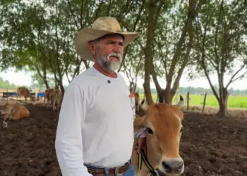 Do sonho à realidade: pecuária sustentável no Acre dobra a renda de produtores e preserva a floresta. VÍDEO 2 Valdomiro Bento é um dos produtores beneficiados pela Pecuária Sustentável. Foto: Kauã Lucas
