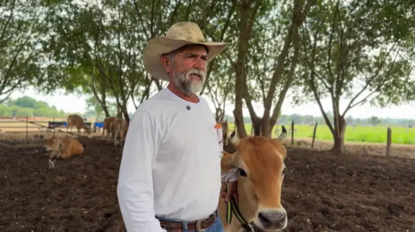 Do sonho à realidade: pecuária sustentável no Acre dobra a renda de produtores e preserva a floresta. VÍDEO 9 Do sonho à realidade: pecuária sustentável no Acre dobra a renda de produtores e preserva a floresta. VÍDEO