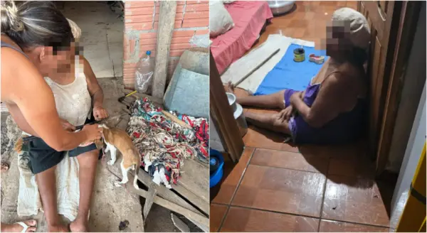 Cadela vítima de maus-tratos é resgatada no Acre; idosa dona do animal vivia em situação de vulnerabilidade