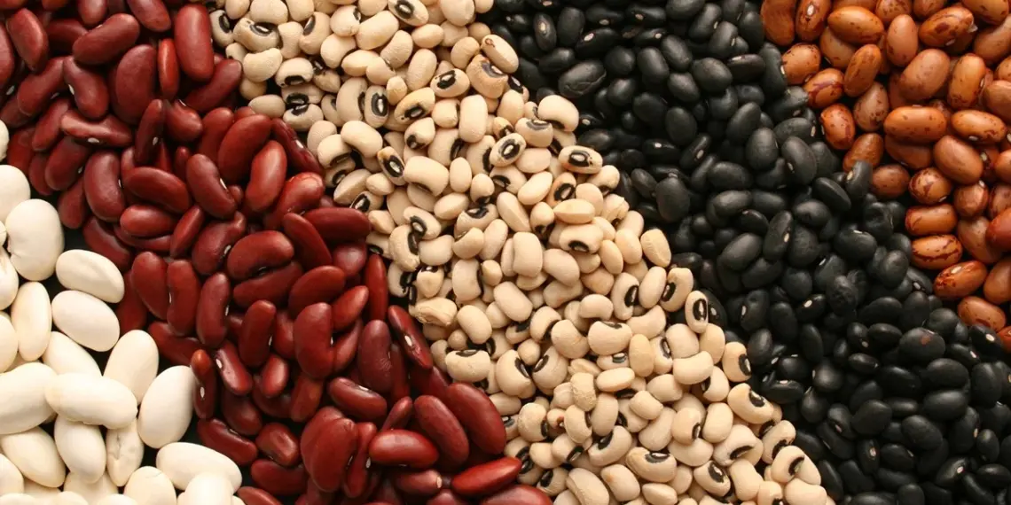 Superalimento comum faz bem para a saúde e ajuda a controlar o peso 1 FotografiaBasica/Gettyimages